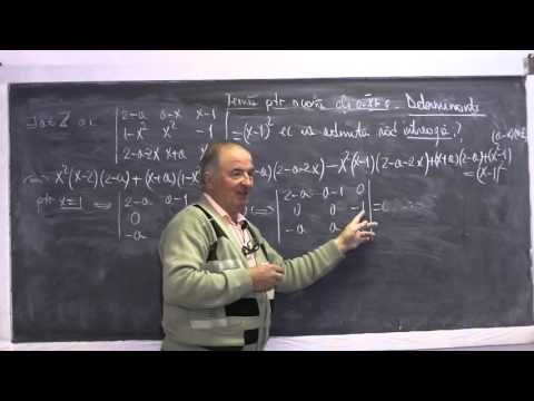 2/2 Lectia 699 - Siruri Limite de siruri Rationalizarea numitorului Determinanti - Tema Clasa 11