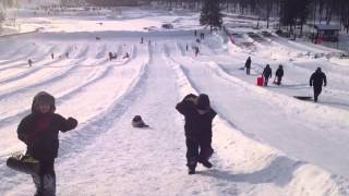 More sledding Mt Royal