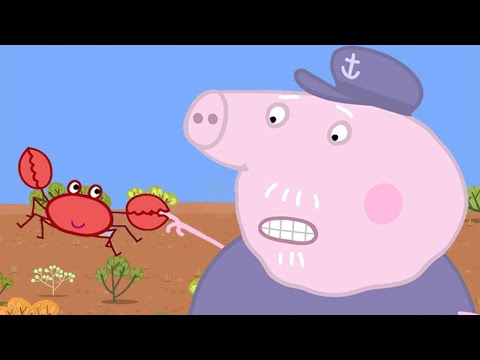 豬爺爺被螃蟹夾了？ (Grandpa Pig Gets Pinched by a Crab ??)