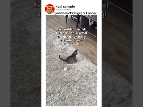 Çaktırmamak için geç buluyor😂