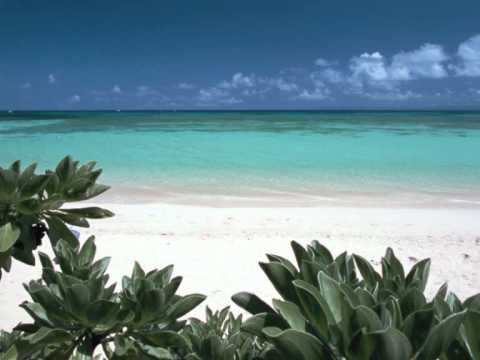 David Argunetta feat. Andrew Mastilias - Indigo 2011