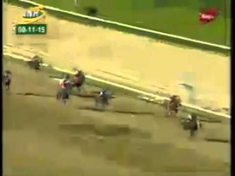 LA RINCONADA 7 CARRERA, DOMINGO 08 DE NOVIEMBRE DEL 2015