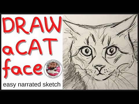 How to Draw a Cat Surprised Face, wide eye headshot, simple head sketch tutorial, beginner artist up
