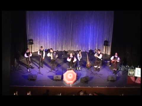 Original oberkrainer Alfi und seine Musikanten,Wir haben grossen durst. ich bleib musikant