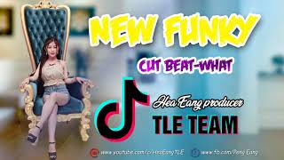 Download lagu V2 New Funky Cut Beat Remix by Hea Eang 2019【TLE  】 mp3