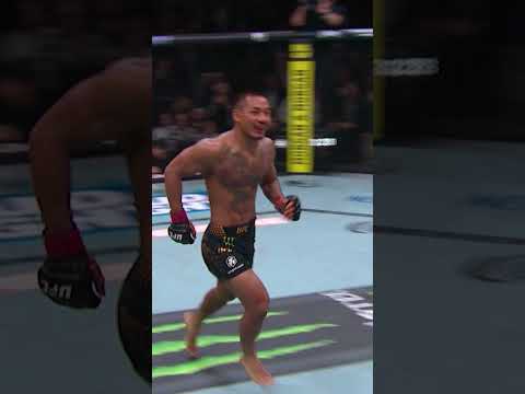 the GREATEST FLYWEIGHT FIGHT ever? #ufc331