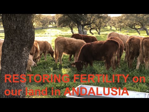 , title : 'RESTORING FERTILITY on our land in ANDALUSIA'