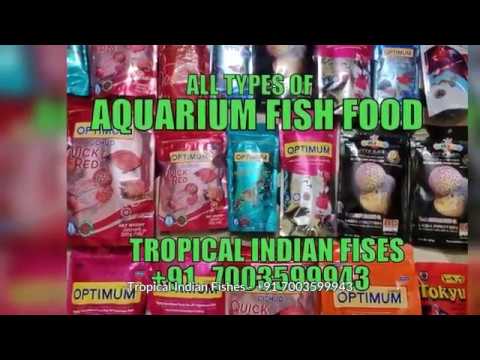 Aquatic solid aquarium fish food, packaging type: packet