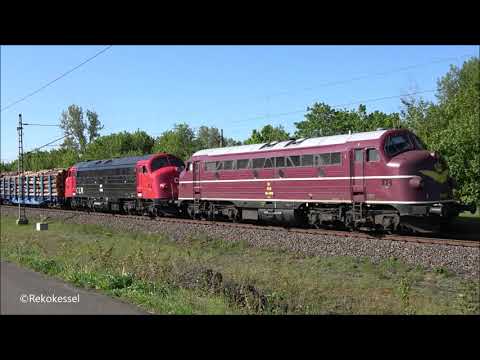 NOHAB! Die Sound Monster aus den 50er und 60er Jahren.