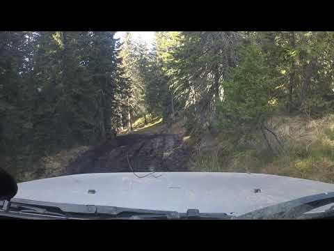 12 Serbian Trophy 2018 - soft 2