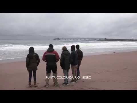 Imagen de previsualización de YouTube