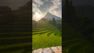 Don&rsquo;t miss this gorgeous lodge in Sapa, Vietnam! #travel #views #shorts