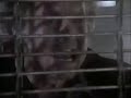 Black Rain 1989 VHS Spot 1