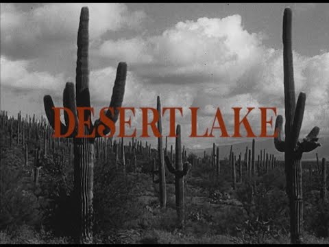 Donna Blue - Desert Lake [Official Video]