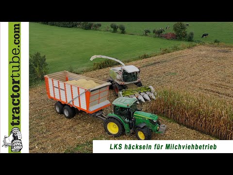 LKS Häckseln,  Claas Jaguar Häcksler mit Maispflücker für Lieschkolbenschrot