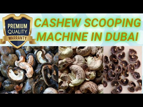 Fully Automatic Cashew Cutting Machine