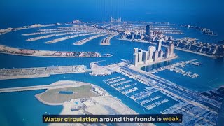 Dubajský luxusní ostrov "Palm Jumeirah" zahnívá - kolaps nejdražšího ostrova na světě...