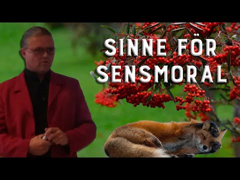 Carl Norberg 2020-10-14  - Det handlar alltid om att läsa mellan raderna!