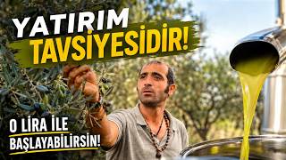 Dikkat! Yatırım Tavsiyesidir :) Zeytin Toplama, Zeytinyağı Sıktırma! Tüm Aşamala