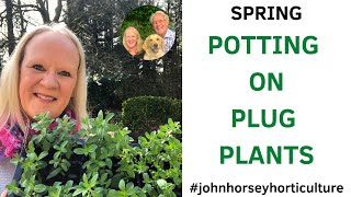 POTTING ON PLUG PLANTS: ESSENTIAL GARDEN SUCCESS TIPS