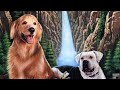 Opening To Homeward Bound The Incredible Journey 1993 VHS