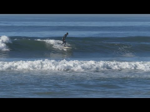 Huntington Beach, CA, 1/18/2021 AM - Part 8