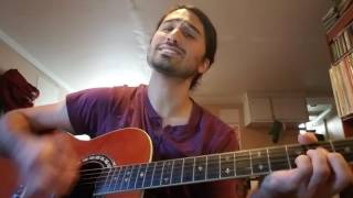 Robyn Hitchcock - Queen Elvis Cover