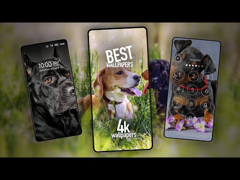 Dogs wallpapers for phone Video