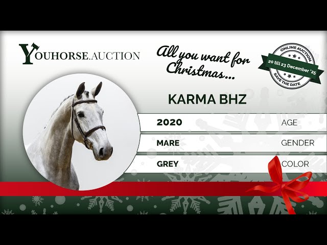 Karma BH Z