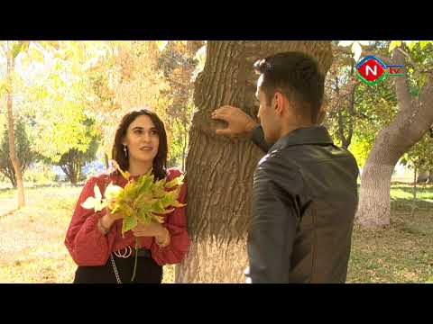 Duyğu yarpaqları: Musa Yaqub - 27.10.2021