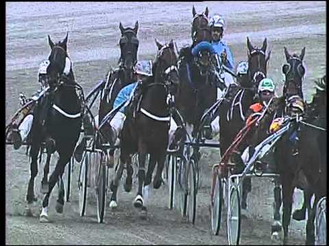 Trotto 15/10/2015 - 3° corsa