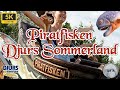 Piratfisken Onride Offride POV Djurs Sommerland 5K 60 Fps