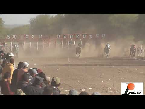 SABALERO EL PANGARE CRUZ DEL EJE 10 7 2022