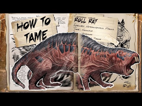 Ark Survival Evolved How To Tame Roll Rat