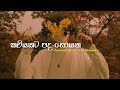 කවියකට පද සොයන - Kaviyakata Pada Soyana | Covered by Ishara Akalanka | Lyrics Video | Sharp Tune