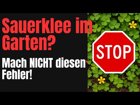 Wood sorrel in the garden: 90% of gardeners make this fatal mistake – here's how to finally get r...