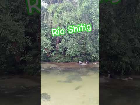 El afamado y muy recomendado río shitig. Tena, Napo, Ecuador. #nature #turisteando 💐🐠🌳🐒🍍💦