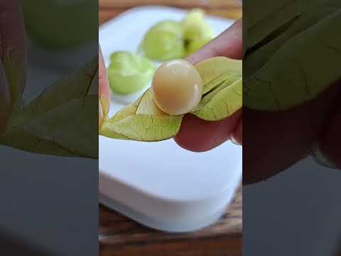 tino tino . #cuttingfriuts