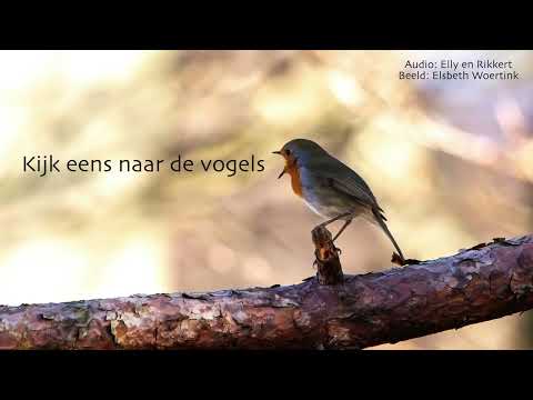 Kijk eens naar de vogels