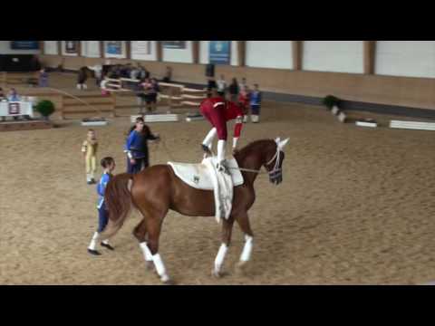 Bayerische Meisterschaften 2017 - Weicht I