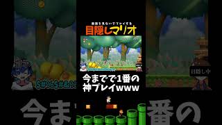 全部見えてませんｗｗｗｗ【目隠しマリオ】