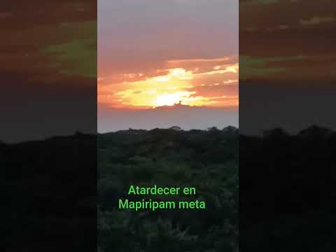 Lindo Atardecer en Mapiripan Meta #mapiripanmeta #atardecerllanero  #territoriodepazyprogreso