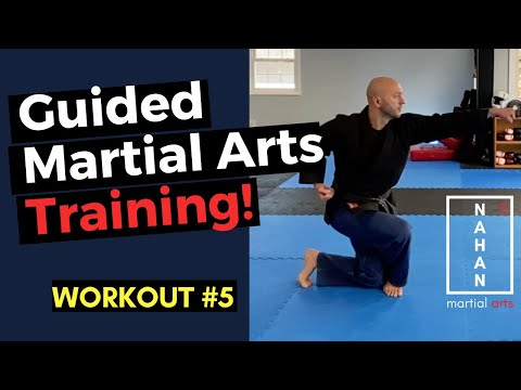 Online Martial Arts Workout and Training #5 - Mobility, Stances, and Balance