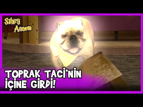 Toprak, Taci'nin Bedenine Girdi! - Sihirli Annem 60. Bölüm