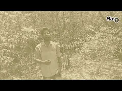 Teendi pogiral album dop