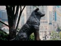 Hachiko