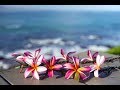 Peaceful Music, Relaxing Music, Instrumental Music "The Hawaiian Islands" by Tim Janis