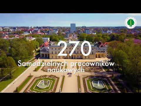 Film wideo (YouTube)