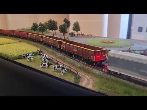 Tren de marfa CFR Marfa cu vagoane Eacs cu 040 DHC epoca 5