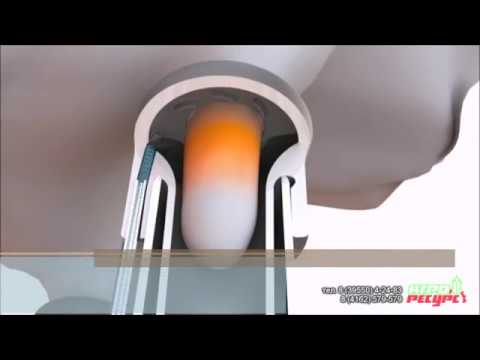 AutoRotor Magnum 40 от GEA Farm Technologies с системой APOLLO (ООО Приамурье, Амурская обл.)